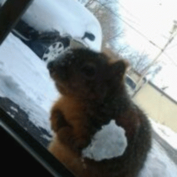 Sloth (USA-2) : 4-19-14